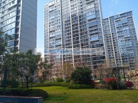 其它图