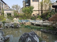 中梁首府叠墅送花园地下室550万满二 中梁首府