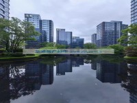 捡漏绿城琨玉园143平号楼层319万急售 绿城锦玉园