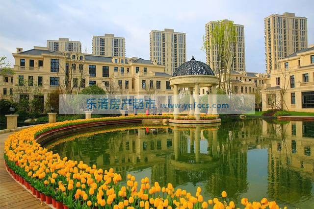 实景图